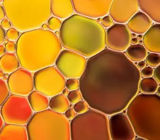 Oregano Extract